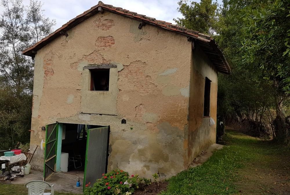 Finca en Torazo
