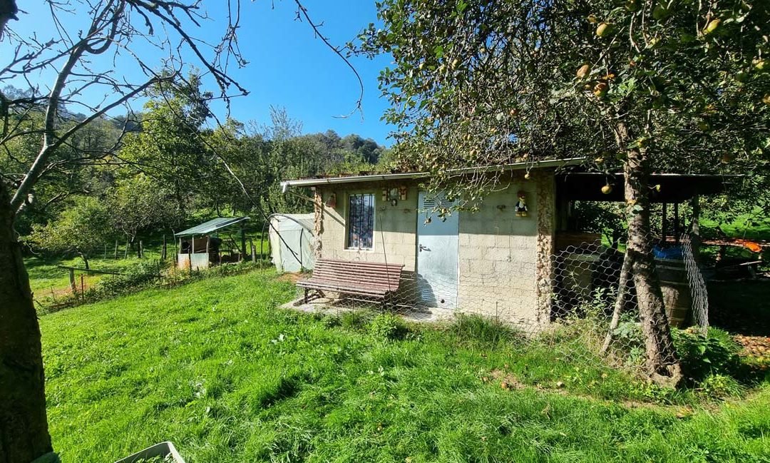 Finca Rúst. Venta El Entrego, San Martin Del Rey Aurelio