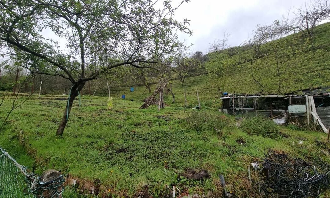 Finca Rúst. Venta El Entrego, San Martin Del Rey Aurelio