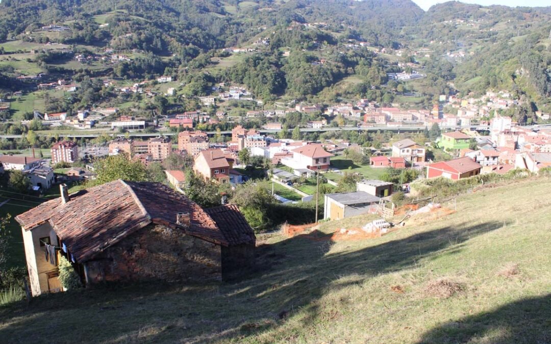 Finca Venta El Entrego, San Martin Del Rey Aurelio